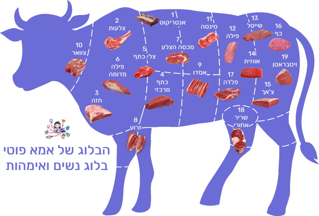 חלקי בשר בקר לפי מספרים